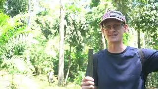 4 ways to measure the height of a tree
