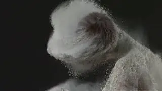Baked Right Now - Mizero | Music Video | Dark Ambient Electronic | 2026