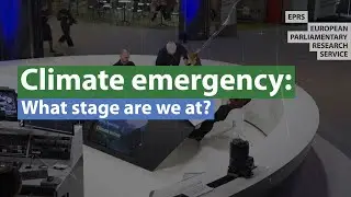 Climate emergency: what stage are we at?