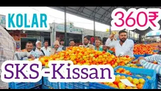 16-10-2025 Kolar Tomato market Rates/kolar tomato rate #టమాట #today #kolartomatomarketratetoday 