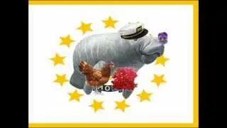 Manatees of New England (American Manatees Part I)