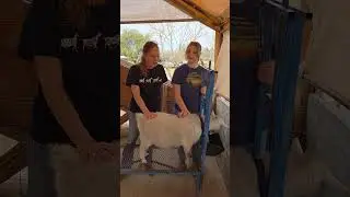 Угадайте, сколько!! #угадай