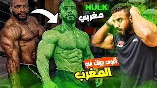 الدبابة المغربية Hulk أقوى جينات بالمغرب 🤯 بيغ رامي المغرب