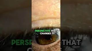 The Secret of Reality Creation (and Self-Identity)
