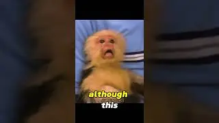 Crazy Instagram Trick You Need To Try!