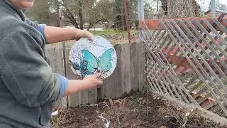 Pink Roses (mini) - Establishing a memory garden from scratch 2023