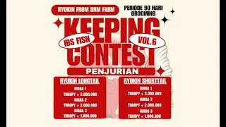 Live Penjurian Keeping Contest IBS FISH #6