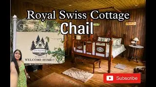 Stay at ROYAL SWISS COTTAGE, Chail Near Shimla Himachal Pradesh - Best Place to Relax in Chail
