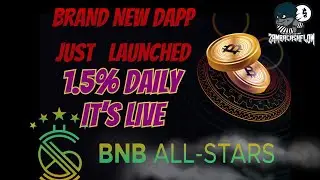 BNB ALL STARS BRAND NEW DAPP JUST LAUNCHED IT'S GOING INSANE