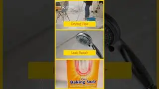 Bathroom & Kitchen Mold: How to Spot It Before It&rsquo;s Too Late!