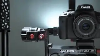 VARAVON BIRDYCAM LITE
