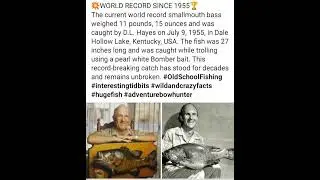 The current world record Smallmouth Bass weighed 11 pounds, 15 ounces.
