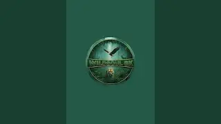 Wildsoul 8k is live!