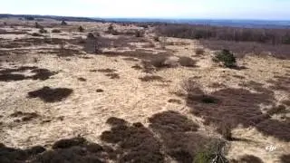 Fagnes de Malchamps