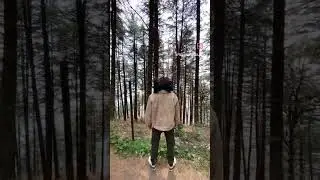 Dhanaulti Eco Park Mussoorie,Uttarakhand