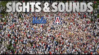 Sights & Sounds 2023: Relive Arizona's victory over UCLA