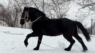 ЗОР АБАКАН ӨСПҮРҮМ ЧЫКТЫ 🤯#байтв 