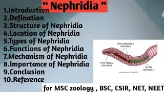 Nephridia | Structure | Location | Types | Function | Mechanism | Importance of nephridia