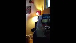 Fallout Loot Crate #17 Seaside Unboxing