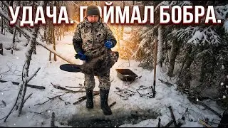 ОХОТА на БОБРА Зимой #50.3 \ Проверка капканов подо льдом
