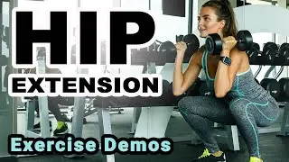 HIP EXTENSION - definitions, muscles, and exercise demos