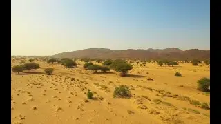 Great Green Wall project in Sahel faces funding crisis