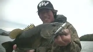 2025年今年の動画トップ１０
