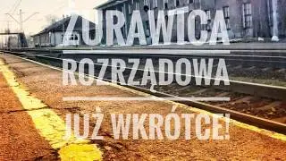 ŻURAWICA ROZRZĄDOWA - Zwiastun