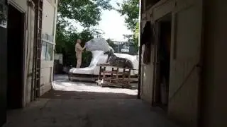 Five meter lioness sculpture by Chris Tap