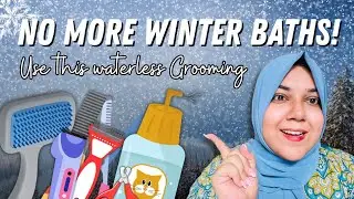 &ldquo;Winter Started! No Bath? Try This Magic Waterless Grooming for Cats!&rdquo;🥶🫧✨