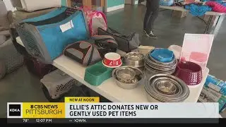 Humane Animal Rescue of Pittsburgh holds pet supply distribution event