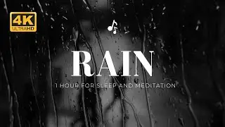 1 Hour Deep Forest Rain &bull; Cozy Nature Sounds for Studying and Sleep