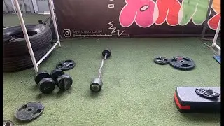 Full Body Workout