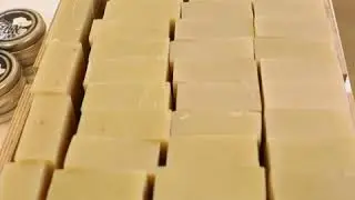 Package Free store in Brooklyn sells only recyclable and plastic-free products