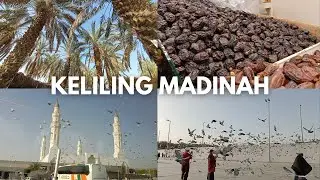 KELILING MADINAH | Bukit Uhud, Kebun Kurma dan Masjid Quba