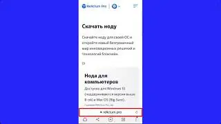 Relictum Pro  Установка NODE на Android #StarTeam