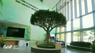 Arcadia British School &mdash; A Green Transformation Story 🌿