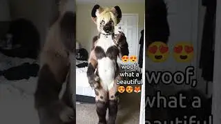 hmmm 😼 #furry #cosplay #fun #furryfriend #fursuit #furries #lovely #girl #beatiful #furr #woman