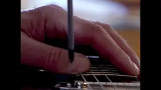 Les produits Excelson: des instruments de lutherie