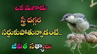 జీవిత సత్యాలు #357 |మంచి మాటలు|Inspirational quotes|Motivational quotes|సూక్తులు|Telugu quotes