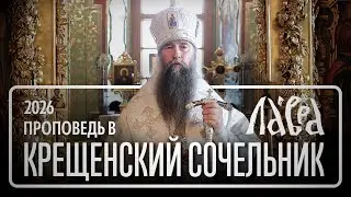 Проповедь в Навечерие Богоявления, 2026