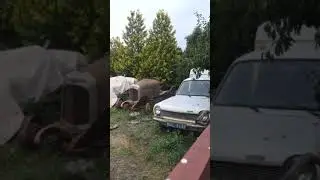 Pre-war cars in someone's backyard  - Renault NN, Citro&euml;n AC4, Citro&euml;n B2 #Shorts