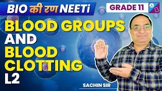 Body Fluids and Circulation Class 11 Biology - Blood Groups & Clotting | NEET 2023 | Sachin Sir