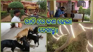 Khairi resort full review ||Bangriposi|| Offbeat destination ||Odisha ||Weekend tour||where to stay?