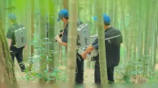 The Secret of Bamboo Liquor: A Drink Aged Inside Living Bamboo!