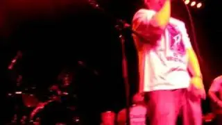 Reckless Endangerment - Vaginica