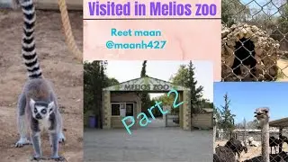 Second part of melios zoo || fully interesting || #youtubechannel #viralvideo || Reet maan @maanh427