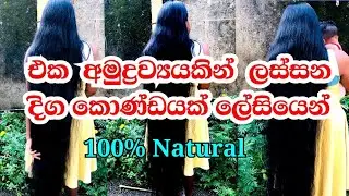 දිග ලස්සන කොණ්ඩෙක රහස|Natural Hair Treatment@Shani Vlogs 2001🥰❤️