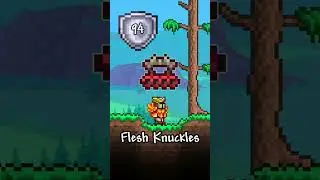 How to get the Maximum Defense in Terraria