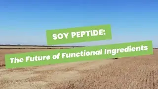Soy Peptide: The Future of Functional Ingredients